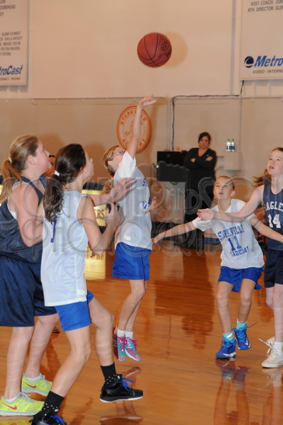 1-31-15 SA vs. HCS Pee Wee 005.JPG